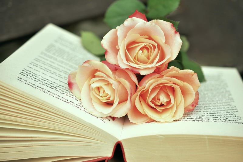Repurposed Book Journals